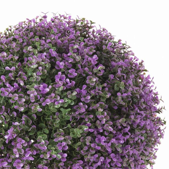 Planta Decorativa   Bola Lavanda 20 x 20 x 20 cm 1