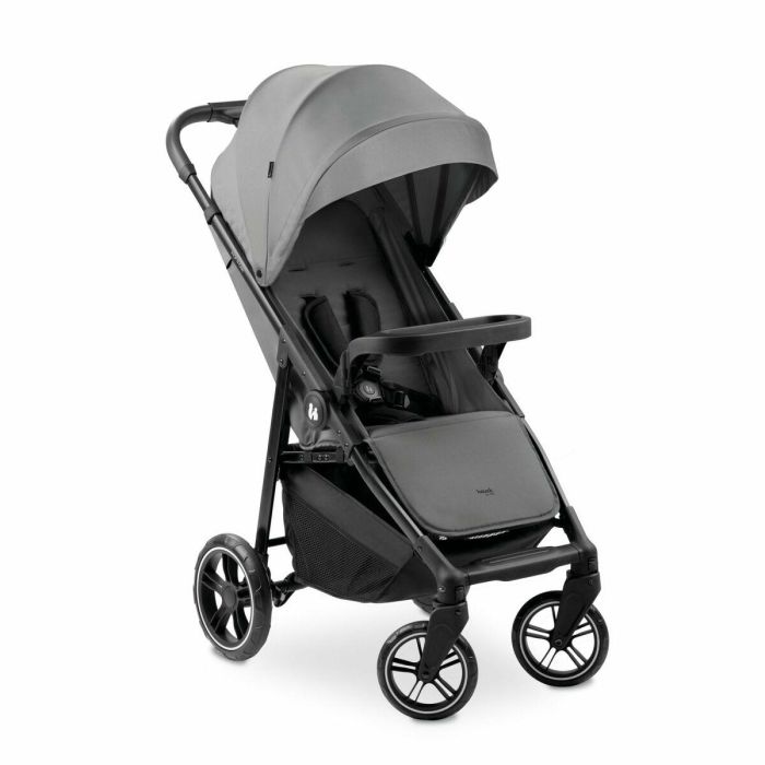 Carro de Paseo para Bebé Hauck Gris 14