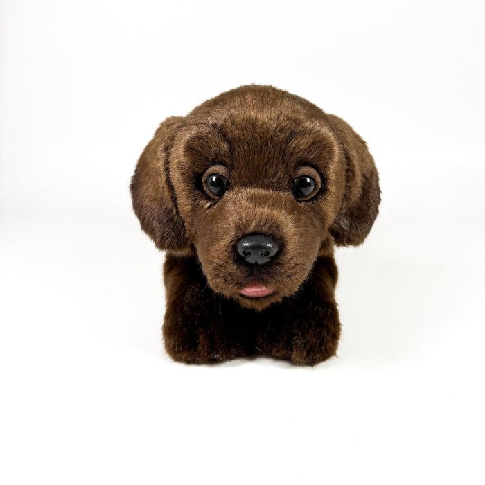 Peluche Labrador Chocolate Tumbado 25Cm 939D00284 Bocalan 2 Peluche Labrador Chocolate Tumbado 25Cm 939D00284 Bocalan 2