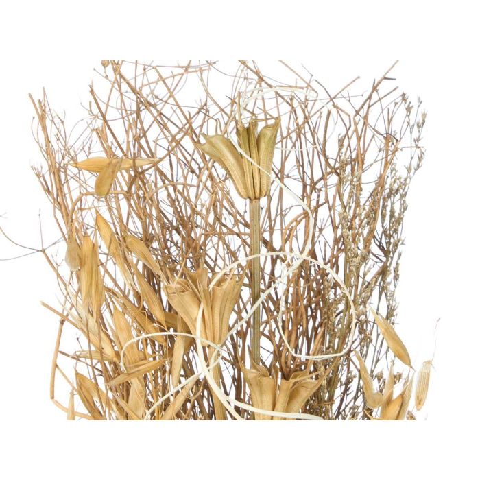 Giftdecor Florero Bola Surtidos Col 10.5x37x10.5 cm 3