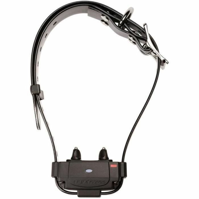 Num'Axes FUG1034 Collar Antiescape Canifugue Negro