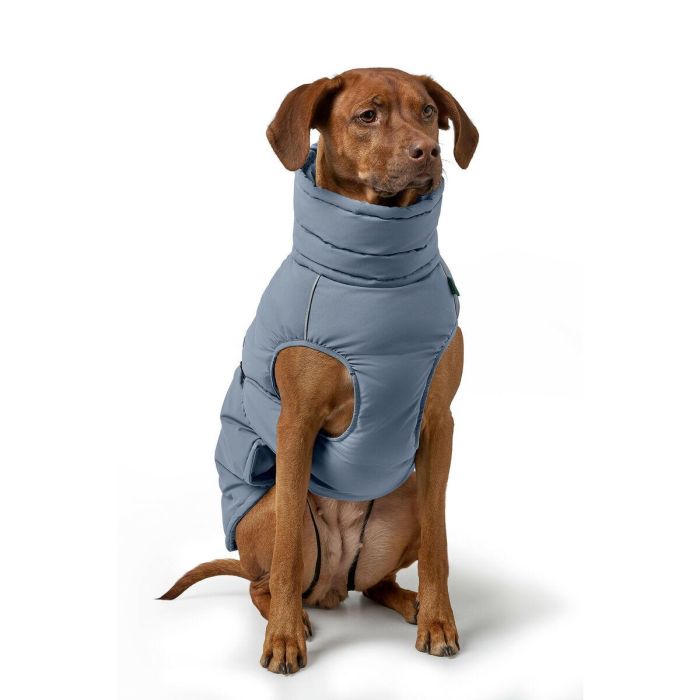 Ropa para mascotas Hunter PAXSON Azul Poliéster 1 Ropa para mascotas Hunter PAXSON Azul Poliéster 1