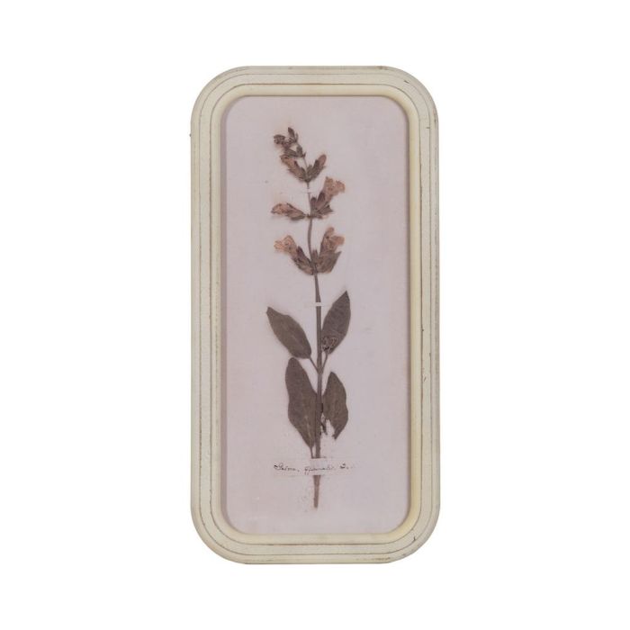 Cuadro Impresión Flores 4/M Dm-Cristal 25 X 2 X 50 cm