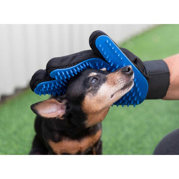 Set Cuidado Para Mascotas 6Pcs Mascow 5X16CM (8 Unidades) 4 Set Cuidado Para Mascotas 6Pcs Mascow 5X16CM (8 Unidades) 4