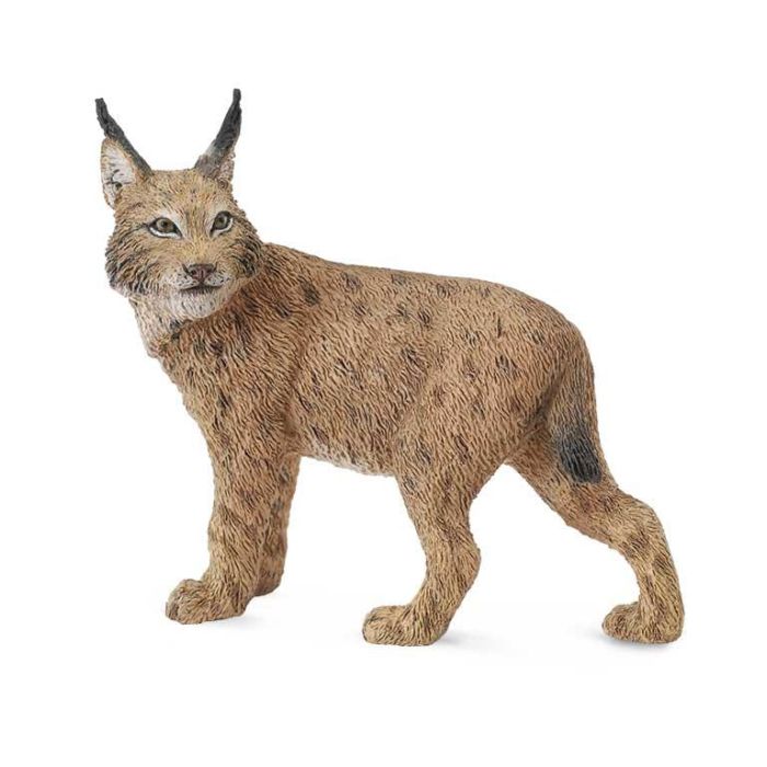Lince -L- 88565 Collecta Lince -L- 88565 Collecta