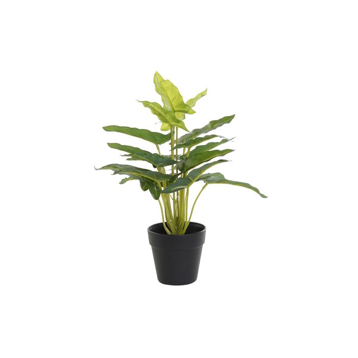 DKD Home Decor Planta Decorativa Artificial de Cala Verde y Negra de 25x25x30 cm en PVC y PP