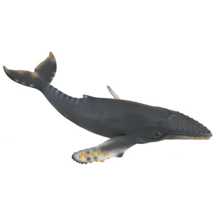 Collecta 88347 Ballena Jorobada XL - Figura Réplica Realista y Detallada Pintada a Mano, Juguete Educativo Marino +3 Años Collecta 88347 Ballena Jorobada XL - Figura Réplica Realista y Detallada Pintada a Mano, Juguete Educativo Marino +3 Años
