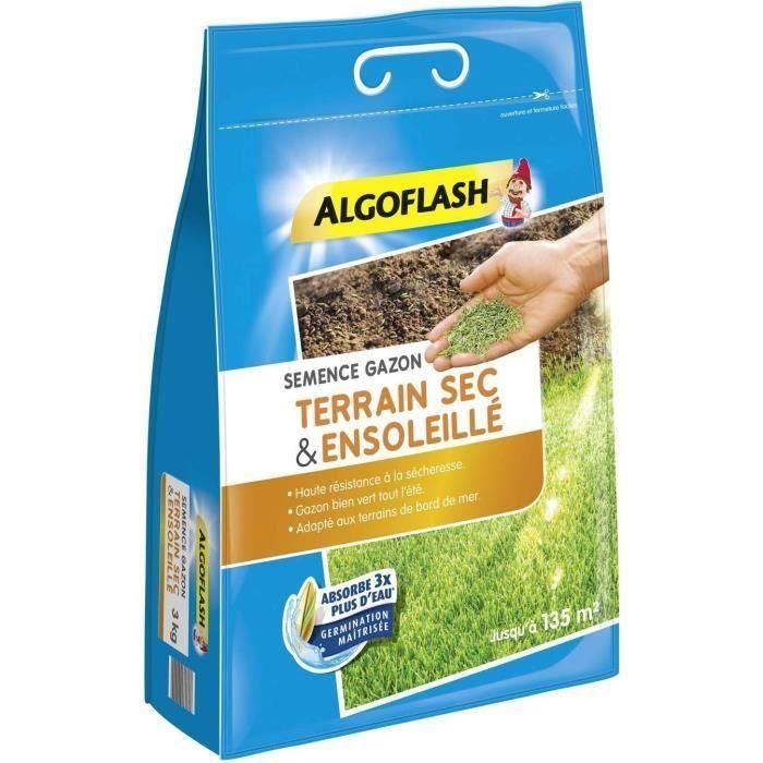 Algoflash Naturasol Semillas de Césped Dry Sunny Ground para Zonas Secas y Soleadas, Ahorra Agua, Raíces Profundas, 3 kg 1 Algoflash Naturasol Semillas de Césped Dry Sunny Ground para Zonas Secas y Soleadas, Ahorra Agua, Raíces Profundas, 3 kg 1