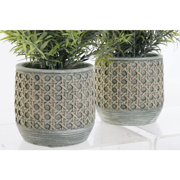 Planta DKD Home Decor Verde Verde Musgo 12 x 25 x 12 cm (12 Unidades) 1 Planta DKD Home Decor Verde Verde Musgo 12 x 25 x 12 cm (12 Unidades) 1