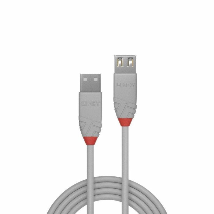 Cable USB LINDY 36713 2 m Negro Gris 1