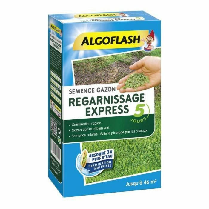 ALGOFLASH Seed turf reline express - 1 Kg