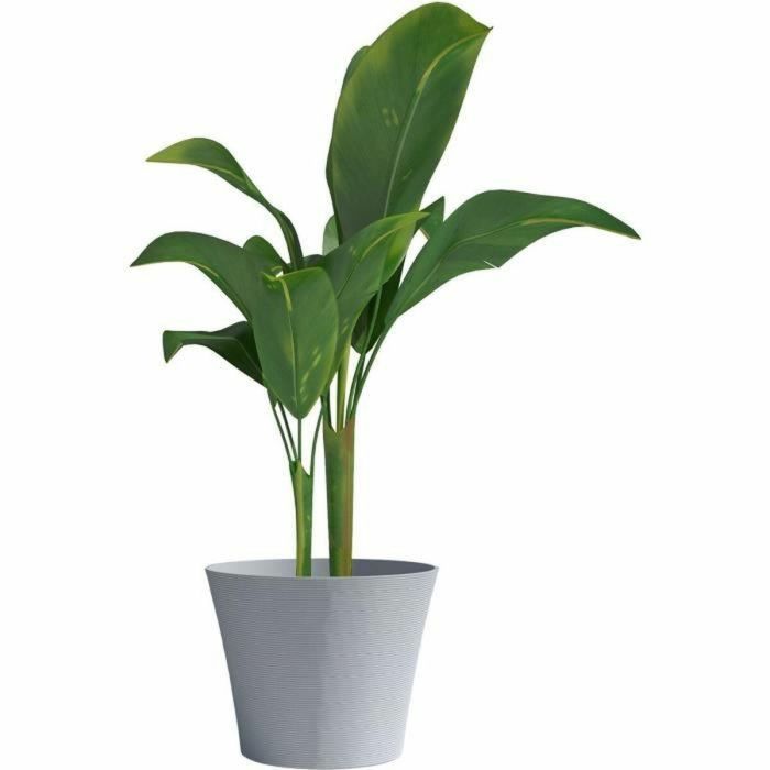 Maceta - GARDEN ID - Green Care Sense Piedra azul - 50 x 41 cm - 10 años de garantía - 100% reciclado - Resistencia a los rayos UV y a las heladas 1 Maceta - GARDEN ID - Green Care Sense Piedra azul - 50 x 41 cm - 10 años de garantía - 100% reciclado - Resistencia a los rayos UV y a las heladas 1