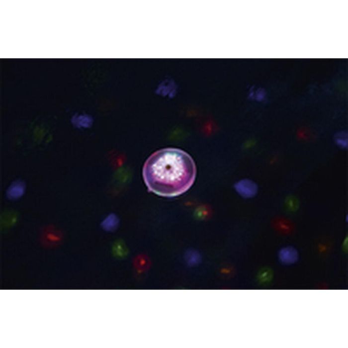 Luz Solar Flotante para Piscina Bestway Ø 14 cm (1 unidad) Luz Solar Flotante para Piscina Bestway Ø 14 cm (1 unidad)