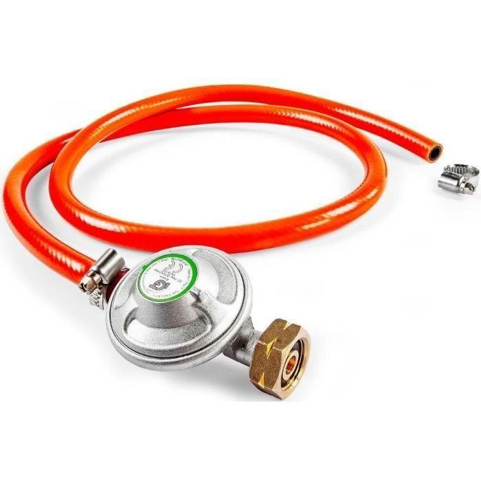 Fieldmann FZG 3010 Parrilla 2