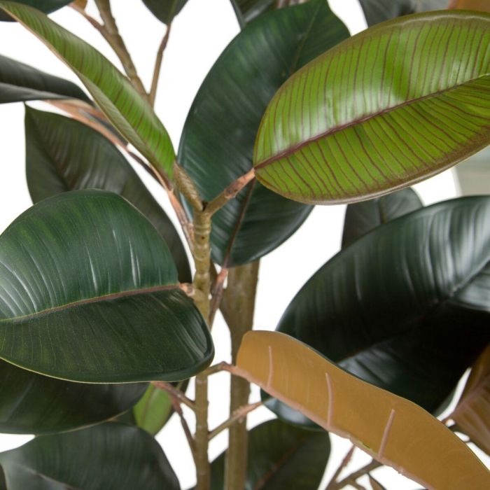 Planta Decorativa PVC Hierro Ficus 49 x 45 x 125 cm 3