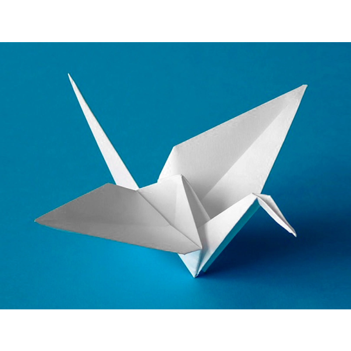 Liderpapel Cartulina Blanco 50x65 cm 180g/m2 para Dibujo y Manualidades 7