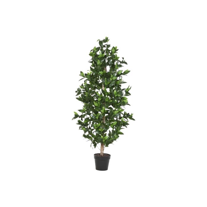 Arbol Tropical DKD Home Decor Verde Marron 50 x 150 x 50 cm (2 Unidades) 0 Arbol Tropical DKD Home Decor Verde Marron 50 x 150 x 50 cm (2 Unidades) 0