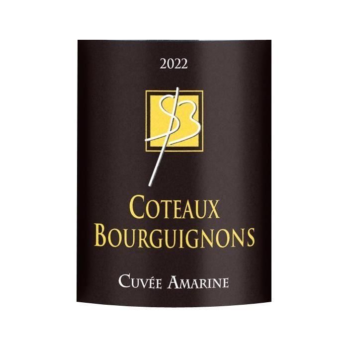 Château Closerie des Alisiers 2020 Coteaux -Bourguignons - Rouge de Bourgogne Wine 1