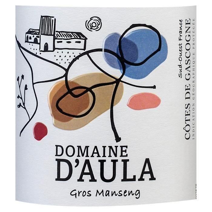 Château Plaimont Domaine D'Aula 2023 Côtes de Gascogne - Vino blanco del Suroeste 1