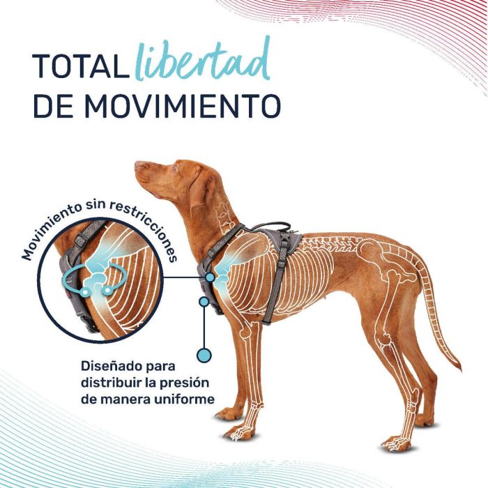 Halti Anatomy Arnés Burdeos S Cuerpo 39-56 cm 2 Halti Anatomy Arnés Burdeos S Cuerpo 39-56 cm 2