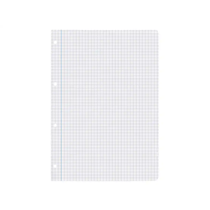 Liderpapel Recambio A4 100 Hojas 75gr Cuadro 6mm 4 Taladros Con Margen 5