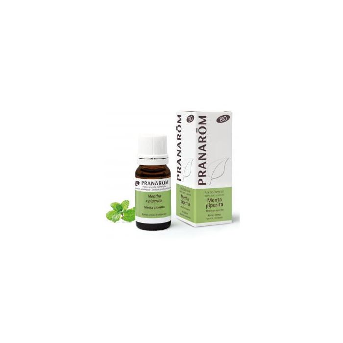 Aceite Esencial Aeqt Menta Piperita Bio 10 Ml Aceite Esencial Aeqt Menta Piperita Bio 10 Ml