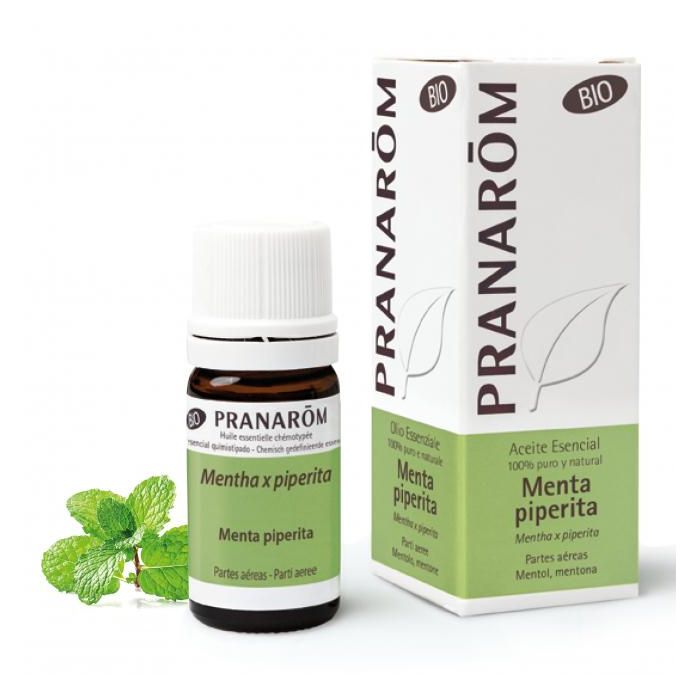 Aceite Esencial Aeqt Menta Piperita Bio Aceite Esencial Aeqt Menta Piperita Bio