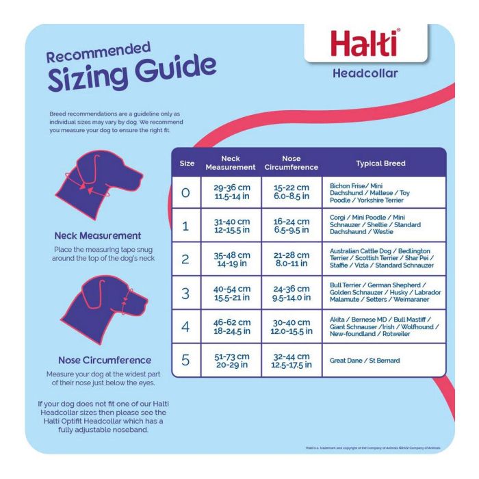 Halti Bozal Headcollar Negro Talla 0 para Perros Pequeños Bichon Maltese Yorkshire