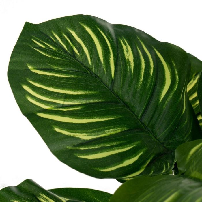 Planta Decorativa Polietileno Plástico Calathea 28 x 28 x 37 cm 2