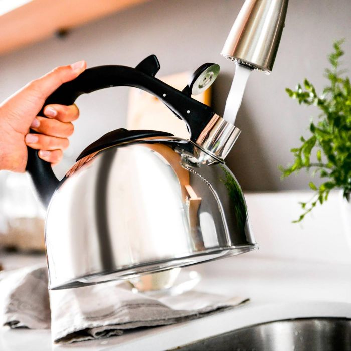 Quttin Hervidor Silbante 3 Litros, 20 cm Ancho x 22 cm Alto x 20 cm Largo, 4.72 kg (6 Unidades) 10