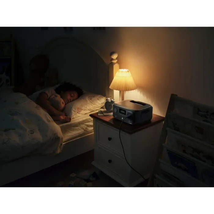 EcoFlow ECO4895251625463 Batería de Arranque - Capacidad Profesional, Compacta y Potente, Versión UPS 20ms 2