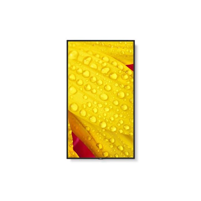 NEC M501-2 (60006084) Pantalla LED 50" 4K Ultra HD para Quiosco, Procesador Incorporado, Negro 6 NEC M501-2 (60006084) Pantalla LED 50" 4K Ultra HD para Quiosco, Procesador Incorporado, Negro 6