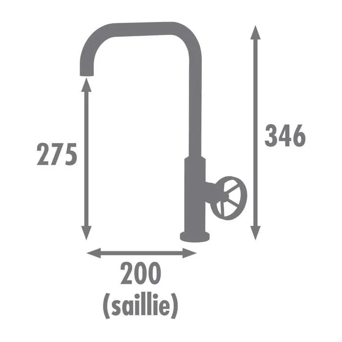Edouard Rousseau Mezclador Fregadero Industrial Negro con Caño Móvil Cartucho 25 mm 1