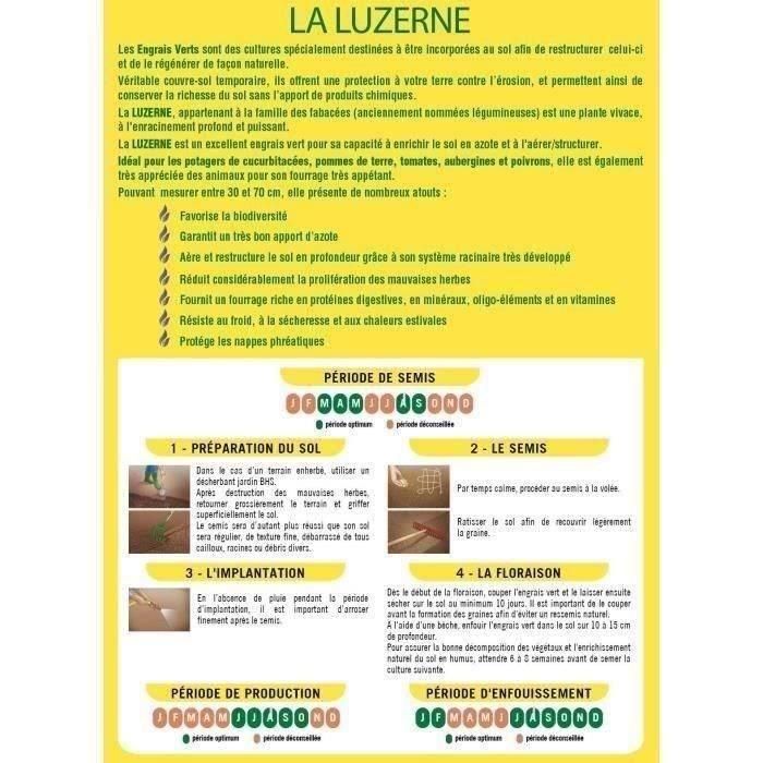 BHS AUC3366670500316 Alfalfa 500g para 100m², Mejora Suelo, Resiste Frío y Sequía, Rica en Proteínas y Vitaminas 1 BHS AUC3366670500316 Alfalfa 500g para 100m², Mejora Suelo, Resiste Frío y Sequía, Rica en Proteínas y Vitaminas 1
