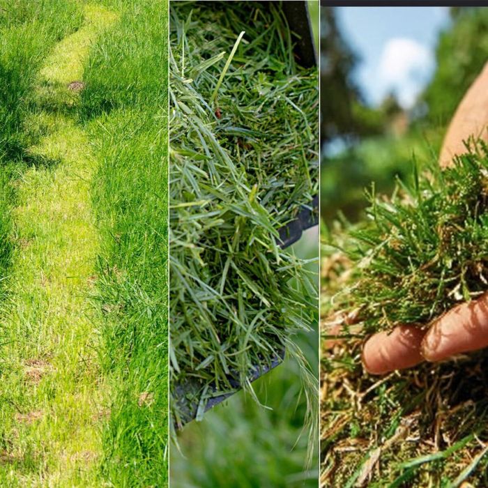 Cortacésped de Batería Cecotec E7 Liberty Z Plus 20 V 43 cm 20-70 mm 45 L 2 Piezas 8 Cortacésped de Batería Cecotec E7 Liberty Z Plus 20 V 43 cm 20-70 mm 45 L 2 Piezas 8