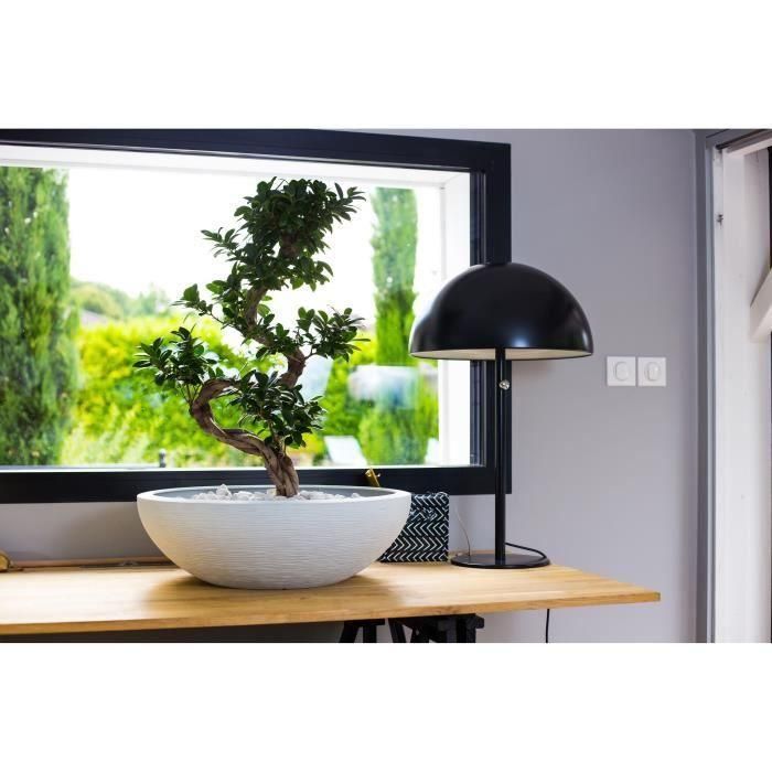 Eda Macetero Serie Lavabo Graphit Ø59cm 39L - Blanco encalado Moderno - Doble Pared, Anti-UV, Interior/Exterior, Retención agua 2 Eda Macetero Serie Lavabo Graphit Ø59cm 39L - Blanco encalado Moderno - Doble Pared, Anti-UV, Interior/Exterior, Retención agua 2