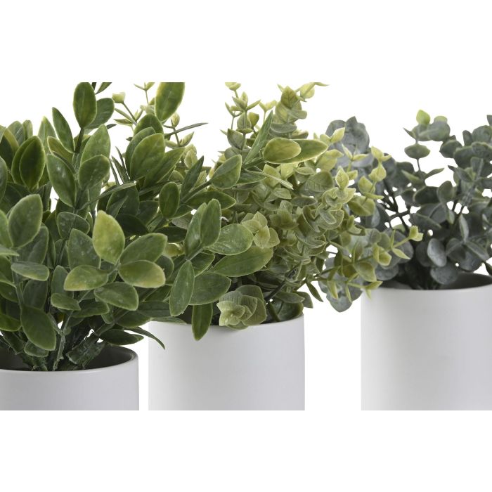 Planta DKD Home Decor Verde 15 x 20 x 15 cm (6 Unidades) 1 Planta DKD Home Decor Verde 15 x 20 x 15 cm (6 Unidades) 1