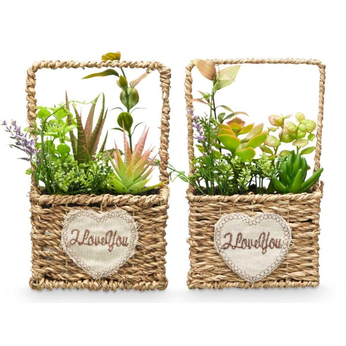 Maceta Asa Surtidos Ibergarden 12X21CM (12 Unidades) 1 Maceta Asa Surtidos Ibergarden 12X21CM (12 Unidades) 1