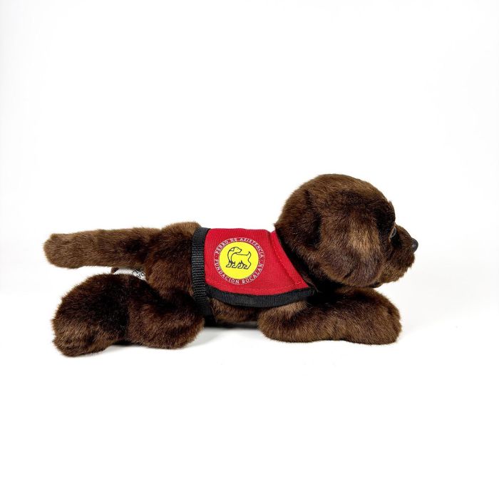 Peluche Labrador Chocolate 21Cm Con Chaleco 939D00248 Bocala 3