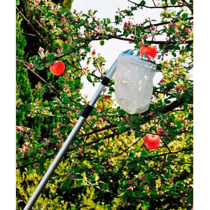 Recogedor de frutas telescopico extensible de 130-240cm grouw 1 Recogedor de frutas telescopico extensible de 130-240cm grouw 1