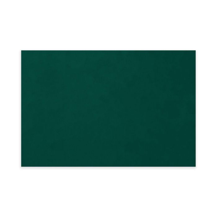 Algon Salvamantel Individual TNT - Paquete de 20 Unidades, Verde Oscuro, 30 x 46 cm (25 Unidades) 1 Algon Salvamantel Individual TNT - Paquete de 20 Unidades, Verde Oscuro, 30 x 46 cm (25 Unidades) 1