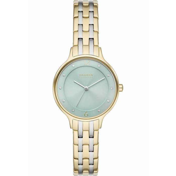 Reloj Mujer Skagen SKW3132 Reloj Mujer Skagen SKW3132