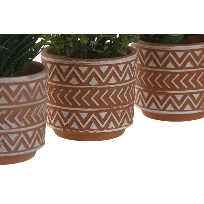 Planta DKD Home Decor Terracota Verde 12 x 17 x 12 cm (3 Unidades) 1