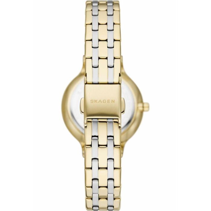 Reloj Mujer Skagen SKW3132 2 Reloj Mujer Skagen SKW3132 2