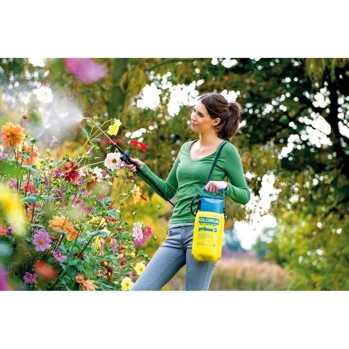 Pulverizador manual GLORIA Gloria - Modelo Prima 3 - Con lanza y correa - Depósito de polietileno - 3L para una presión de 3 bares 1 Pulverizador manual GLORIA Gloria - Modelo Prima 3 - Con lanza y correa - Depósito de polietileno - 3L para una presión de 3 bares 1