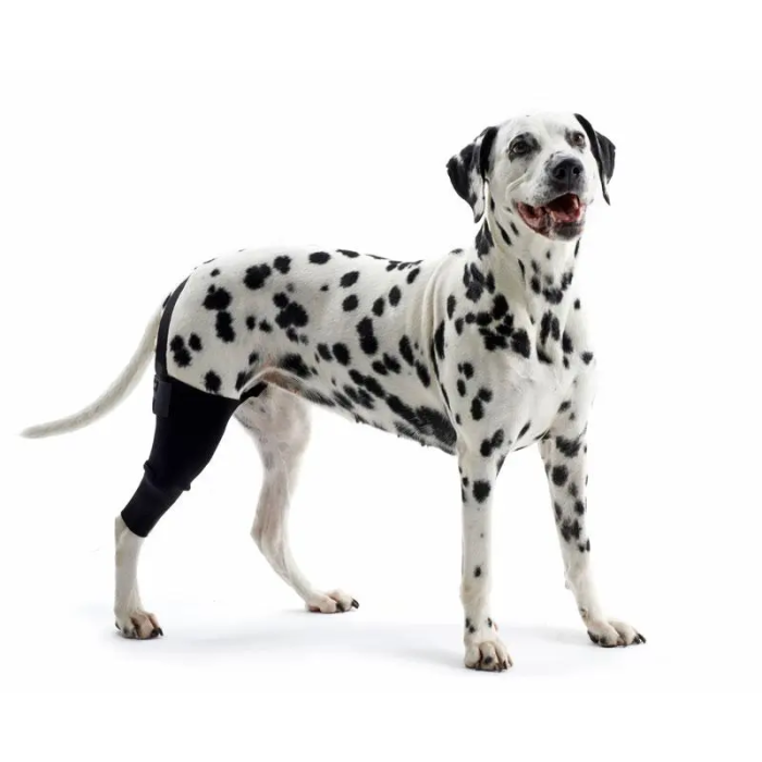 Kruuse Protector De Rodilla Rehab XXXS Izquierda para Perros - Uso en Artritis, Lesiones de Ligamento y Más Kruuse Protector De Rodilla Rehab XXXS Izquierda para Perros - Uso en Artritis, Lesiones de Ligamento y Más
