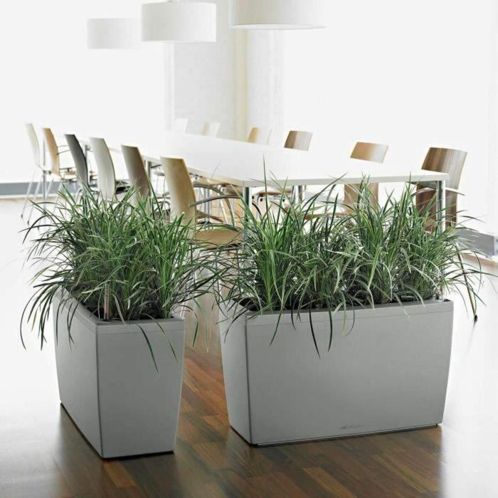 Maceta Lechuza 75 x 30 x 43 cm Plástico Rectangular 1 Maceta Lechuza 75 x 30 x 43 cm Plástico Rectangular 1