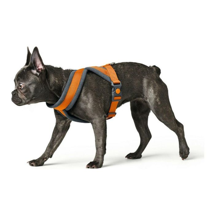 Arnés para Perro Hunter London Comfort 48-56 cm Naranja Talla S/M 1
