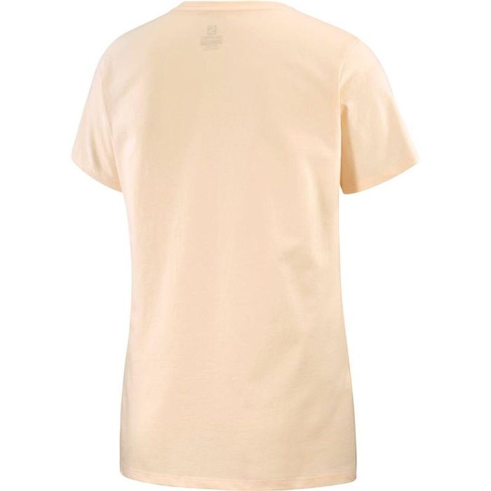 Camiseta de Manga Corta Hombre Salomon Beige 12 Años