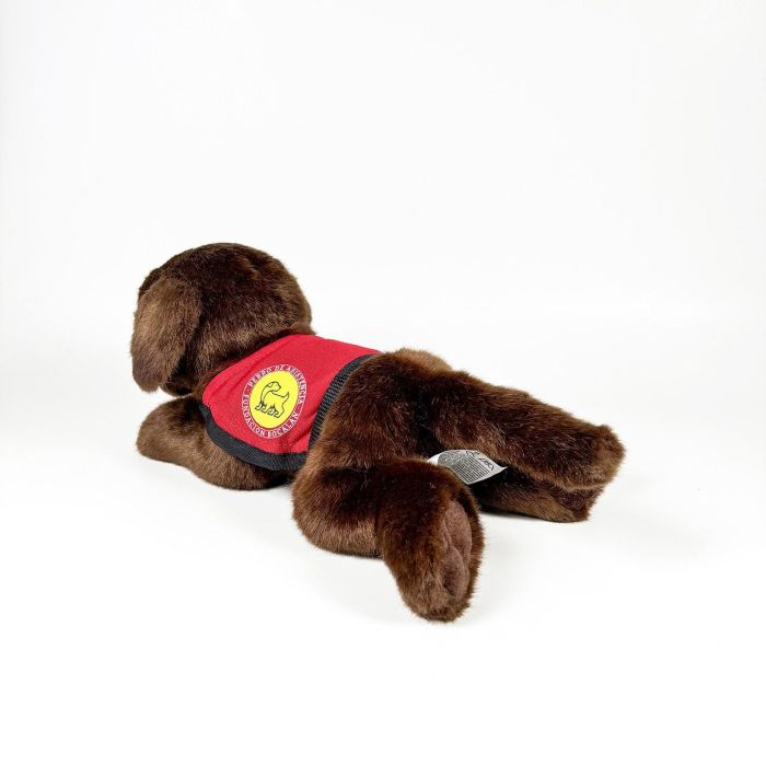 Peluche Labrador Chocolate 21Cm Con Chaleco 939D00248 Bocala 4